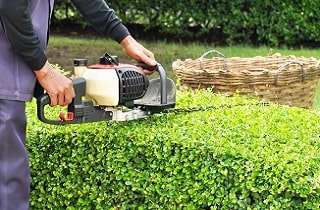 Hedge Cutting