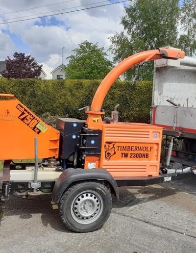 tree surgeon near me