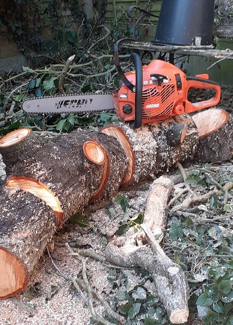 Tree Surgeons in Dublin